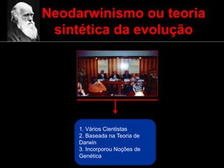 Neodarwinismo ou teoria
sintética da evolução
1. Vários Cientistas
2. Baseada na Teoria de
Darwin
3. Incorporou Noções de
Genética
 