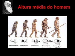Altura média do homem
+ 1 m 1,20 m 1,50 m 1,60 m 1,70 m
 