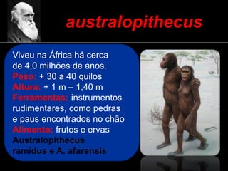 australopithecus
Viveu na África há cerca
de 4,0 milhões de anos.
Peso: + 30 a 40 quilos
Altura: + 1 m – 1,40 m
Ferramentas: instrumentos
rudimentares, como pedras
e paus encontrados no chão
Alimento: frutos e ervas
Australopithecus
ramidus e A. afarensis
 