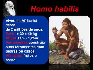 Homo habilis
Viveu na África há
cerca
de 2 milhões de anos.
Peso: + 30 a 40 kg
Altura:+1m - 1,25m
Ferramentas:construía
suas ferramentas com
pedras ou ossos
Alimento: frutos e
carne
 