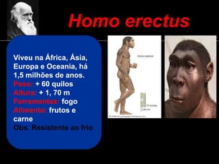 Homo erectus
Viveu na África, Ásia,
Europa e Oceania, há
1,5 milhões de anos.
Peso: + 60 quilos
Altura: + 1, 70 m
Ferramentas: fogo
Alimento: frutos e
carne
Obs. Resistente ao frio
 