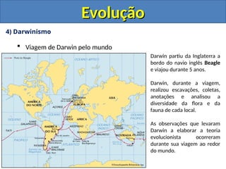 4) Darwinismo
 Viagem de Darwin pelo mundo
Evolução
Evolução
Darwin partiu da Inglaterra a
bordo do navio inglês Beagle
e viajou durante 5 anos.
Darwin, durante a viagem,
realizou escavações, coletas,
anotações e analisou a
diversidade da flora e da
fauna de cada local.
As observações que levaram
Darwin a elaborar a teoria
evolucionista ocorreram
durante sua viagem ao redor
do mundo.
 