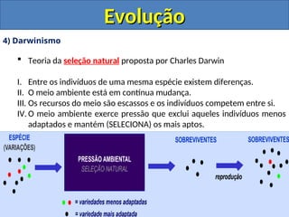 4) Darwinismo
 Teoria da seleção natural proposta por Charles Darwin
I. Entre os indivíduos de uma mesma espécie existem diferenças.
II. O meio ambiente está em contínua mudança.
III. Os recursos do meio são escassos e os indivíduos competem entre si.
IV. O meio ambiente exerce pressão que exclui aqueles indivíduos menos
adaptados e mantém (SELECIONA) os mais aptos.
Evolução
Evolução
 