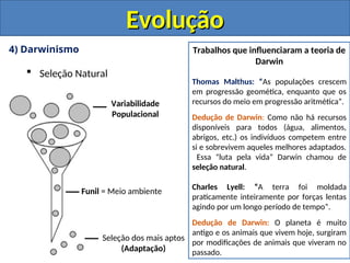 4) Darwinismo
 Seleção Natural
Evolução
Evolução
Variabilidade
Populacional
Funil = Meio ambiente
Seleção dos mais aptos
(Adaptação)
Trabalhos que influenciaram a teoria de
Darwin
Thomas Malthus: “As populações crescem
em progressão geomética, enquanto que os
recursos do meio em progressão aritmética”.
Dedução de Darwin: Como não há recursos
disponíveis para todos (água, alimentos,
abrigos, etc.) os indivíduos competem entre
si e sobrevivem aqueles melhores adaptados.
Essa “luta pela vida” Darwin chamou de
seleção natural.
Charles Lyell: “A terra foi moldada
praticamente inteiramente por forças lentas
agindo por um longo período de tempo”.
Dedução de Darwin: O planeta é muito
antigo e os animais que vivem hoje, surgiram
por modificações de animais que viveram no
passado.
 