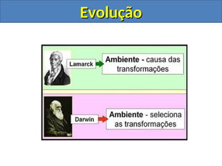 Evolução
Evolução
 
