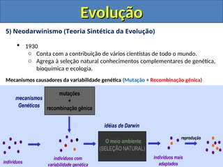 5) Neodarwinismo (Teoria Sintética da Evolução)
 1930
o Conta com a contribuição de vários cientistas de todo o mundo.
o Agrega à seleção natural conhecimentos complementares de genética,
bioquímica e ecologia.
Mecanismos causadores da variabilidade genética (Mutação + Recombinação gênica)
Evolução
Evolução
 