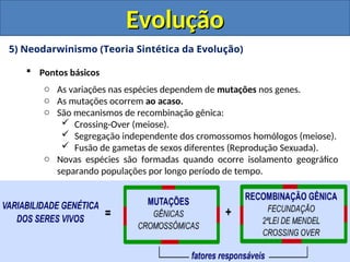 5) Neodarwinismo (Teoria Sintética da Evolução)
 Pontos básicos
o As variações nas espécies dependem de mutações nos genes.
o As mutações ocorrem ao acaso.
o São mecanismos de recombinação gênica:
 Crossing-Over (meiose).
 Segregação independente dos cromossomos homólogos (meiose).
 Fusão de gametas de sexos diferentes (Reprodução Sexuada).
o Novas espécies são formadas quando ocorre isolamento geográfico
separando populações por longo período de tempo.
Evolução
Evolução
 