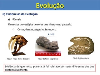 6) Evidências da Evolução
a) Fósseis
São restos ou vestígios de seres que viveram no passado.
o Ossos, dentes, pegadas, fezes, etc.
Evolução
Evolução
Fóssil – Tigre dente de sabre Fóssil de dinossauro
Fóssil de fezes (coprólito)
Evidência de que nosso planeta já foi habitado por seres diferentes dos que
existem atualmente.
 