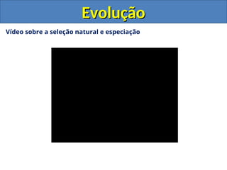 Vídeo sobre a seleção natural e especiação
Evolução
Evolução
 