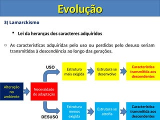 3) Lamarckismo
 Lei da heranças dos caracteres adquiridos
o As características adquiridas pelo uso ou perdidas pelo desuso seriam
transmitidas à descendência ao longo das gerações.
Evolução
Evolução
Alteração
no
ambiente
Necessidade
de adaptação
Estrutura
mais exigida
Estrutura
menos
exigida
Estrutura se
desenvolve
Estrutura se
atrofia
Característica
transmitida aos
descendentes
Característica
transmitida aos
descendentes
USO
DESUSO
 
