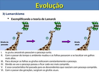 3) Lamarckismo
 Exemplificando a teoria de Lamarck
Evolução
Evolução
I. As girafas ancestrais possuíam o pescoço curto.
II. Com o passar do tempo o ambiente mudou e as folhas passaram a se localizar em galhos
mais altos.
III. Para alcançar as folhas as girafas esticavam constantemente o pescoço.
IV. Devido ao uso o pescoço passou a ficar cada vez mais comprido.
V. E essa característica foi passada para os descendentes que nasciam com pescoço comprido.
VI. Com o passar das gerações, surgiram as girafas atuais.
 