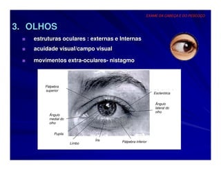 EXAME DA CABEÇA E DO PESCOÇO


3. OLHOS
 ■   estruturas oculares : externas e Internas
 ■   acuidade visual/campo visual

 ■   movimentos extra-oculares- nistagmo



         Pálpebra
         superior
                                                          Esclerótica


                                                           Ângulo
                                                           lateral do
                                                           olho
           Ângulo
           medial do
           olho


              Pupila
                               Íris   Pálpebra inferior
                       Limbo
 