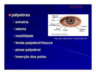 EXAME DA CABEÇA




pálpebras
 simetria

 edema

 mobilidade
                           http://atlas.ucpel.tche.br/~nicolau/anato.htm

 fenda palpebral/fissura

 ptose palpebral

 inserção dos pelos
 