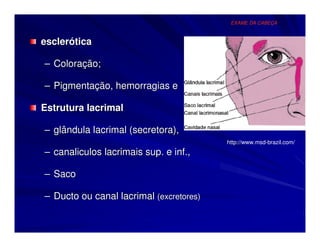 EXAME DA CABEÇA



esclerótica

– Coloração;

– Pigmentação, hemorragias e

Estrutura lacrimal

– glândula lacrimal (secretora),
                                         http://www.msd-brazil.com/
– canaliculos lacrimais sup. e inf.,

– Saco

– Ducto ou canal lacrimal (excretores)
 