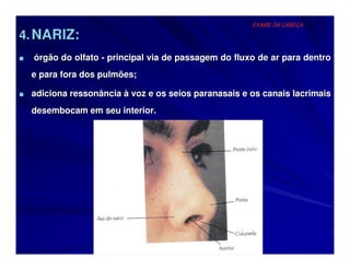 EXAME DA CABEÇA

4. NARIZ:
■   órgão do olfato - principal via de passagem do fluxo de ar para dentro
    e para fora dos pulmões;

■ adiciona ressonância à voz e os seios paranasais e os canais lacrimais

    desembocam em seu interior.
 