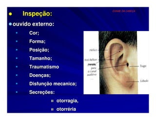 EXAME DA CABEÇA
   Inspeção:
ouvido externo:
     Cor;
     Forma;
     Posição;
     Tamanho;
                               concha
     Traumatismo
     Doenças;
     Disfunção mecanica;
     Secreções:
                  otorragia,
                  otorréria
 