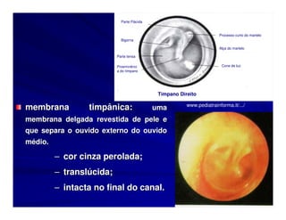 Parte Flácida


                                                                       Processo curto do martelo
                            Bigorna

                                                                       Alça do martelo

                          Parte tensa

                          Proeminênci                                   Cone de luz
                          a do tímpano




                                             Tímpano Direito

membrana         timpânica:                 uma         www.pediatrainforma.it/.../

membrana delgada revestida de pele e
que separa o ouvido externo do ouvido
médio.

         – cor cinza perolada;
         – translúcida;
         – intacta no final do canal.
 