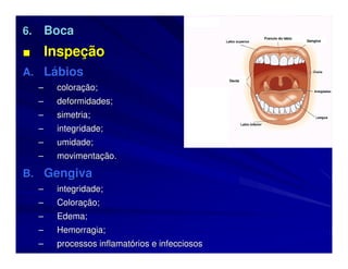 6.       Boca                                             Frenulo do lábio
                                                                             Gengiva


■        Inspeção
A. Lábios
                                                  Dente

     –    coloração;
                                           Mmm
     –    deformidades;
     –    simetria;
     –    integridade;
     –    umidade;
     –    movimentação.

B. Gengiva
     –    integridade;
     –    Coloração;
     –    Edema;
     –    Hemorragia;
     –    processos inflamatórios e infecciosos
 