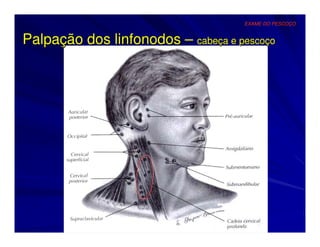 EXAME DO PESCOÇO


Palpação dos linfonodos – cabeça e pescoço
 