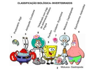 Protozoário-Alga
Molusco- Gastropoda
Artrópode-Crustacea
Porífero
Cnidario-Scyphozoa
Molusco-Cephalopode
Equinodermo-Asteroidea
1
8
7
6
5
4
3
2
Vertebradocomtraje
deastronautadebaixo
d’agua
CLASSIFICAÇÃO BIOLÓGICA- INVERTEBRADOS
 
