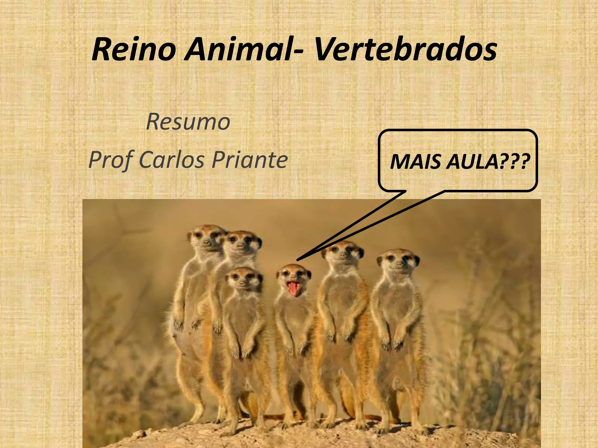 Reino Animal- Vertebrados
Resumo
Prof Carlos Priante MAIS AULA???