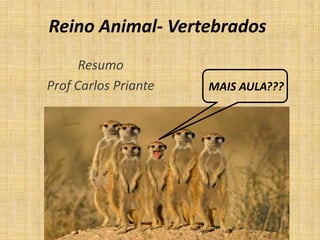 Reino Animal- Vertebrados
Resumo
Prof Carlos Priante MAIS AULA???
 