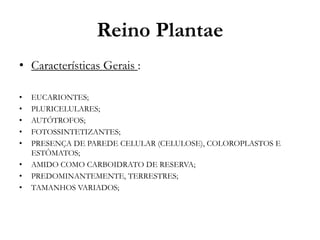 Reino Plantae
• Características Gerais :
• EUCARIONTES;
• PLURICELULARES;
• AUTÓTROFOS;
• FOTOSSINTETIZANTES;
• PRESENÇA DE PAREDE CELULAR (CELULOSE), COLOROPLASTOS E
ESTÔMATOS;
• AMIDO COMO CARBOIDRATO DE RESERVA;
• PREDOMINANTEMENTE, TERRESTRES;
• TAMANHOS VARIADOS;
 