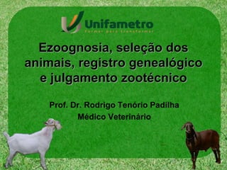 Ezoognosia, seleção dos
animais, registro genealógico
e julgamento zootécnico
Prof. Dr. Rodrigo Tenório Padilha
Médico Veterinário
 