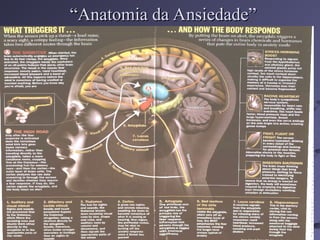 “
“Anatomia da Ansiedade”
Anatomia da Ansiedade”
 