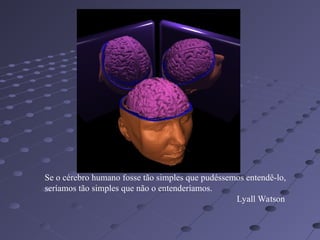 Se o cérebro humano fosse tão simples que pudéssemos entendê-lo,
seríamos tão simples que não o entenderíamos.
Lyall Watson
 