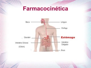 Farmacocinética
 