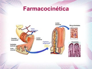 Farmacocinética
 