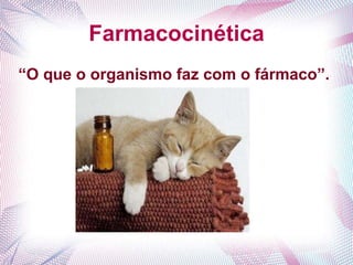 Farmacocinética
“O que o organismo faz com o fármaco”.
 