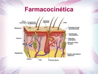 Farmacocinética
 