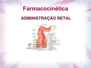 Farmacocinética
ADMINISTRAÇÃO RETAL
 