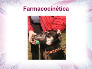 Farmacocinética
 