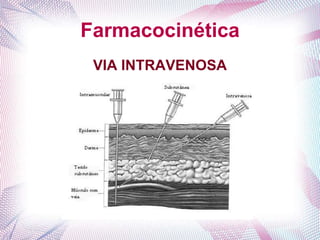 Farmacocinética
VIA INTRAVENOSA
 