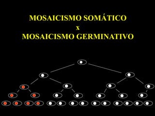 MOSAICISMO SOMÁTICO
           x
MOSAICISMO GERMINATIVO
 
