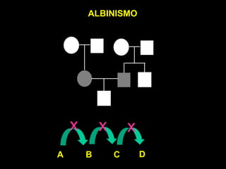 ALBINISMO




    x       x       x
A       B       C       D
 