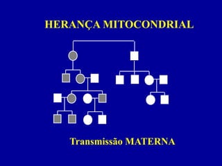 HERANÇA MITOCONDRIAL




   Transmissão MATERNA
 