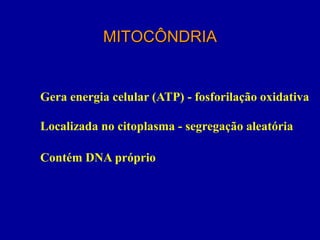 MITOCÔNDRIA


Gera energia celular (ATP) - fosforilação oxidativa

Localizada no citoplasma - segregação aleatória

Contém DNA próprio
 
