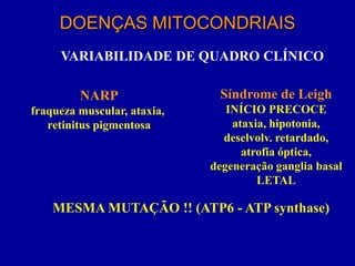 DOENÇAS MITOCONDRIAIS
     VARIABILIDADE DE QUADRO CLÍNICO

         NARP                 Síndrome de Leigh
fraqueza muscular, ataxia,      INÍCIO PRECOCE
   retinitus pigmentosa          ataxia, hipotonia,
                               deselvolv. retardado,
                                   atrofia óptica,
                             degeneração ganglia basal
                                      LETAL

    MESMA MUTAÇÃO !! (ATP6 - ATP synthase)
 