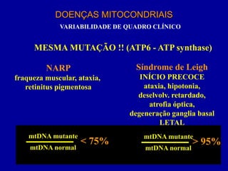 DOENÇAS MITOCONDRIAIS
             VARIABILIDADE DE QUADRO CLÍNICO


     MESMA MUTAÇÃO !! (ATP6 - ATP synthase)

         NARP                   Síndrome de Leigh
fraqueza muscular, ataxia,       INÍCIO PRECOCE
   retinitus pigmentosa           ataxia, hipotonia,
                                deselvolv. retardado,
                                    atrofia óptica,
                              degeneração ganglia basal
                                       LETAL
    mtDNA mutante                 mtDNA mutante
                    < 75%                        > 95%
    mtDNA normal                  mtDNA normal
 