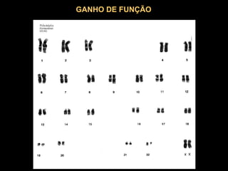GANHO DE FUNÇÃO
 