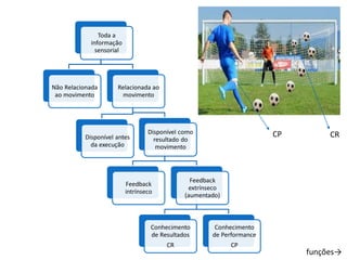 Toda a
informação
sensorial
Não Relacionada
ao movimento
Relacionada ao
movimento
Disponível antes
da execução
Disponível como
resultado do
movimento
Feedback
intrínseco
Feedback
extrínseco
(aumentado)
Conhecimento
de Resultados
CR
Conhecimento
de Performance
CP
funções→
CRCP
 