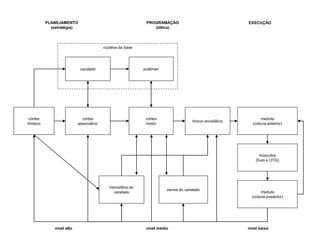 Mecanismo de retroação que permite controlar a ação produzida
FEEDBACK
INFORMAÇÃOINFORMAÇÃOINFORMAÇÃOINFORMAÇÃO
Godinho, 2002; Magill, 2000
DESCRITIVADESCRITIVADESCRITIVADESCRITIVA
Centro de controle
do movimento
Efetores do
movimento
Comandos do movimento
Feedback
Entrada Saída
Feedback
Processamento
 