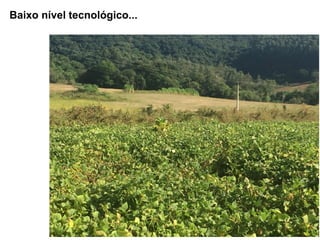 19
Baixo nível tecnológico...
 