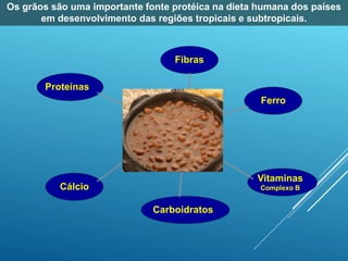 Fibras
Carboidratos
Vitaminas
Complexo B
Cálcio
Ferro
Proteínas
Os grãos são uma importante fonte protéica na dieta humana dos países
em desenvolvimento das regiões tropicais e subtropicais.
 