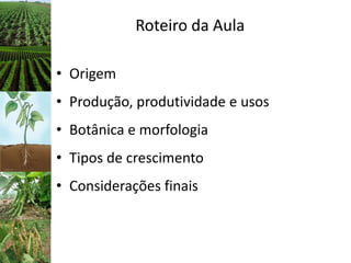 Roteiro da Aula
• Origem
• Produção, produtividade e usos
• Botânica e morfologia
• Tipos de crescimento
• Considerações finais
 
