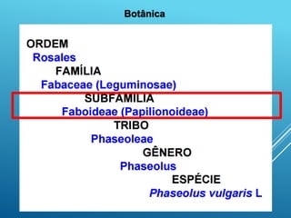 33
Botânica
 